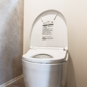 イメージ：トイレ