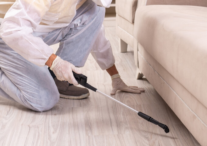 イメージ：調査している様子